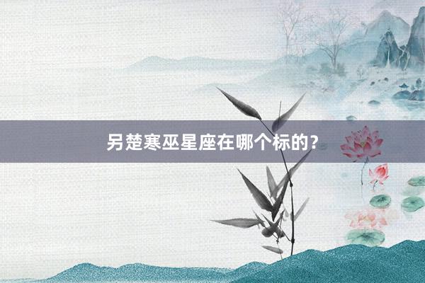 另楚寒巫星座在哪个标的？